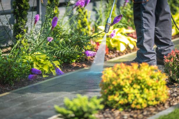 Best Parking Lot Cleaning in Bulverde, TX
